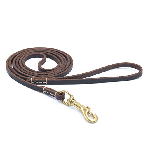 leather dog leash