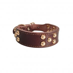 How do you care and clean leather dog collars?