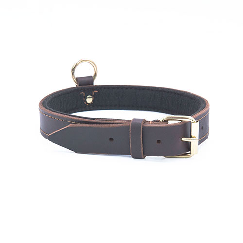 leather dog collar