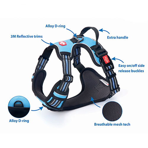 dog harness