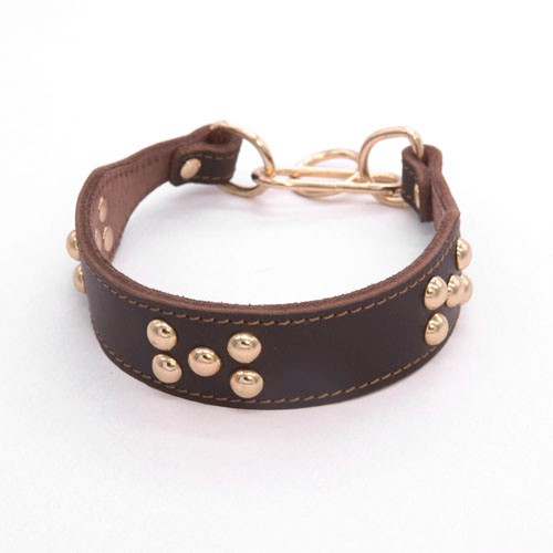 Manufacture Leather dog collars with gold buckles 