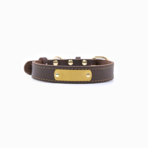 Dog collar with brass name plate manufacturing