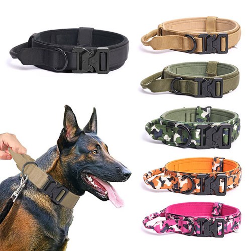 Outdoor tactical dog collar with handle wholesale