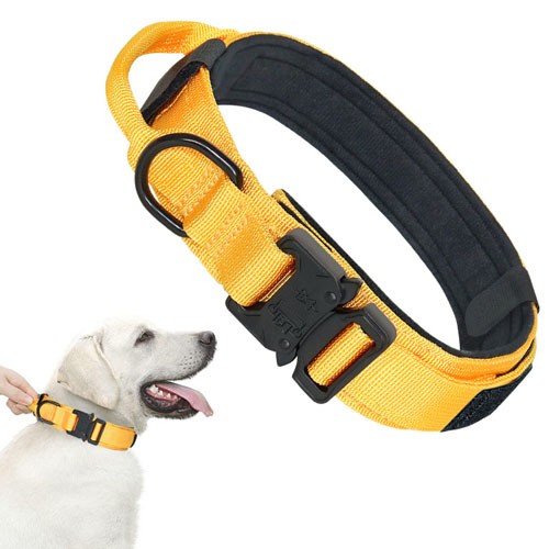 Custom military collar for dogs 
