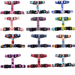 Supply Custom Nylon Dog Harness and Leash Set Heavy Duty - 副本