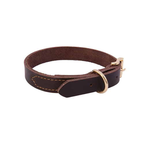 leather dog collar 1.jpg